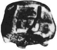 fig125